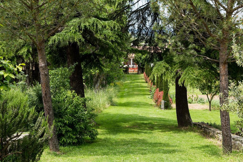 Casale Vacanze Il Granaio Κορτόνα Εξωτερικό φωτογραφία